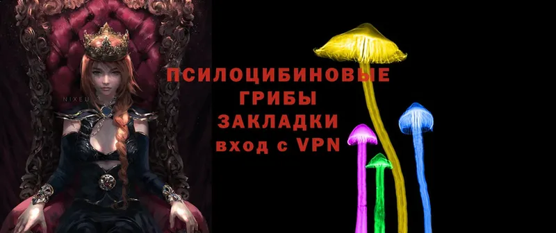 ОМГ ОМГ вход  Армянск  darknet состав  Галлюциногенные грибы мицелий 